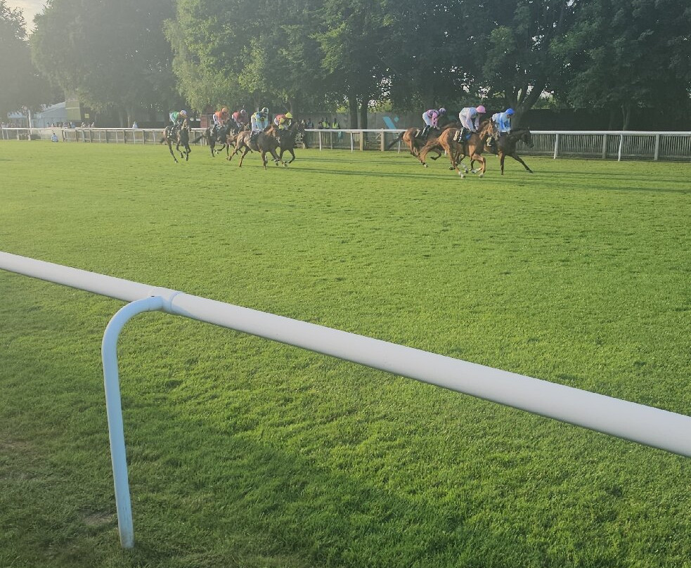 Newmarket Racecourses-纽马克特必去景点