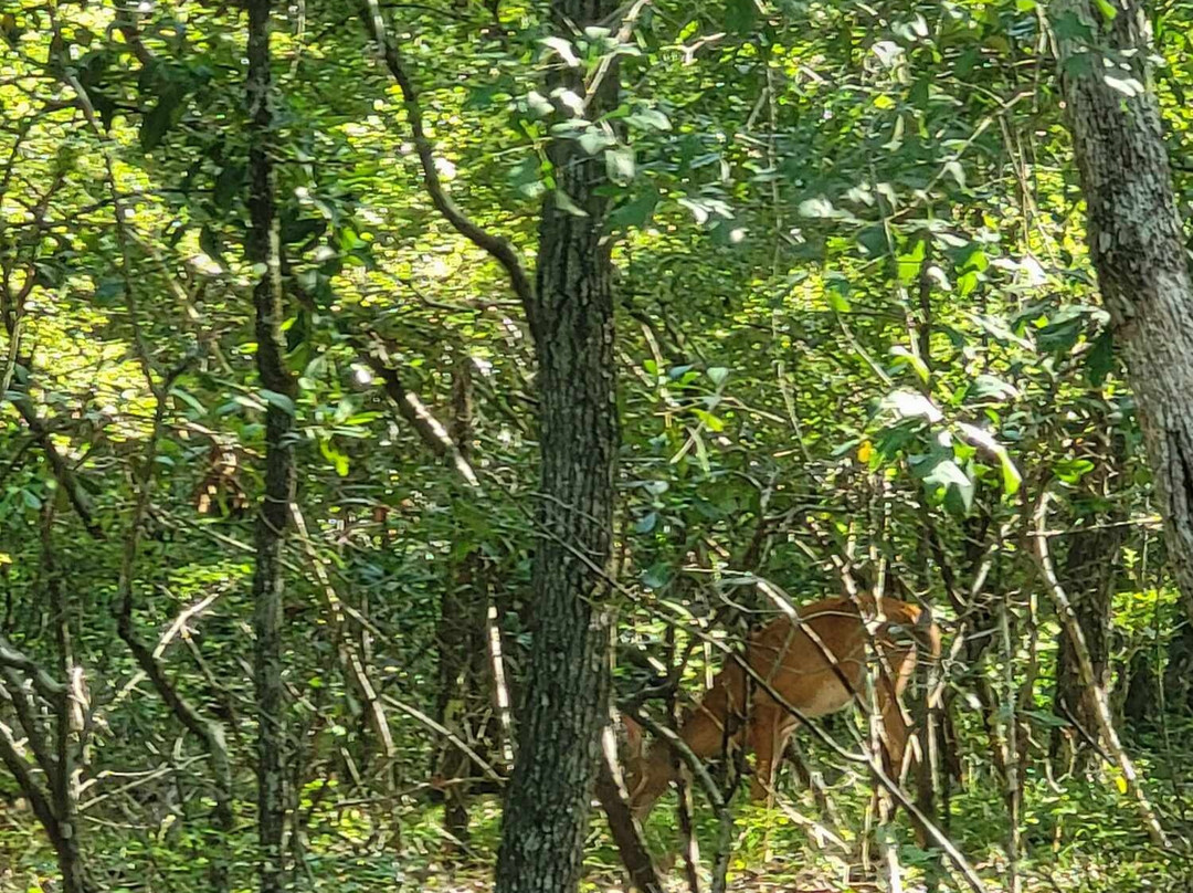 Little Ocmulgee State Park and Lodge-McRae-Helena必去景点