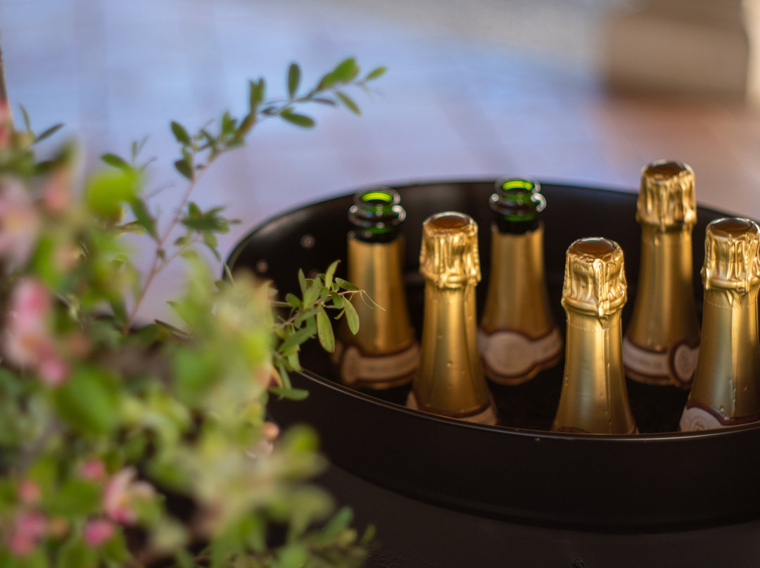 Michel-Schlumberger Wine Estate-希尔兹堡必去景点