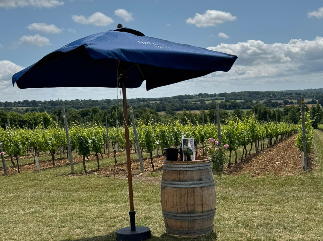 Hattingley Valley Wines-Lower Wield必去景点