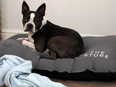 斯托尔酒店主图