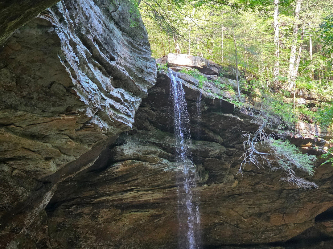 The Ghost Patrol-New Plymouth必去景点