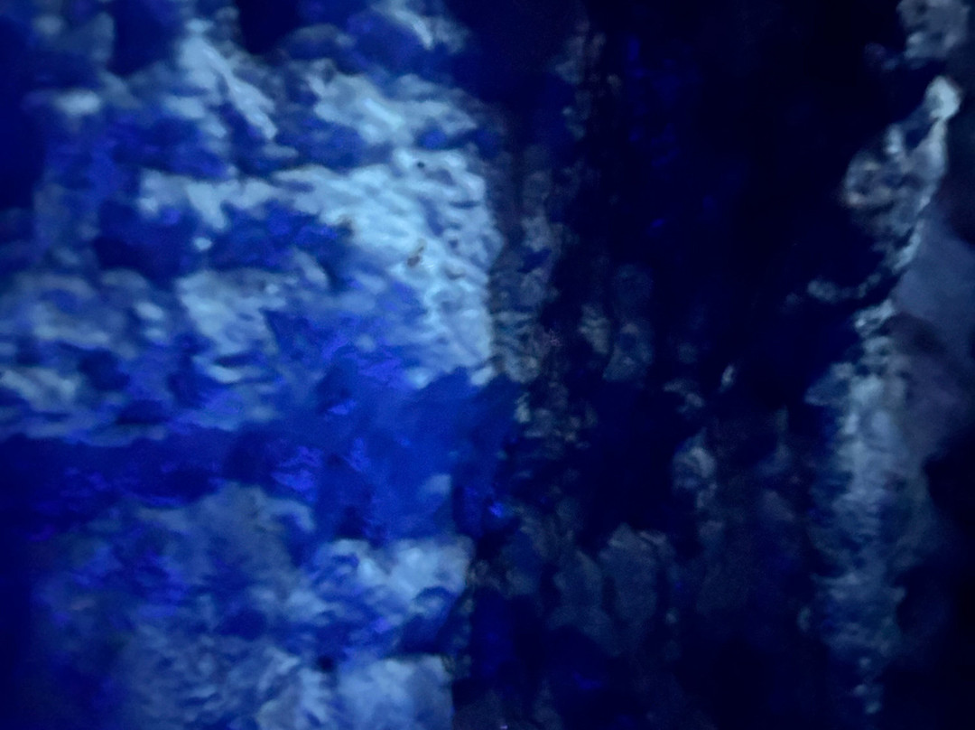 Cave of the Mounds-Blue Mounds必去景点