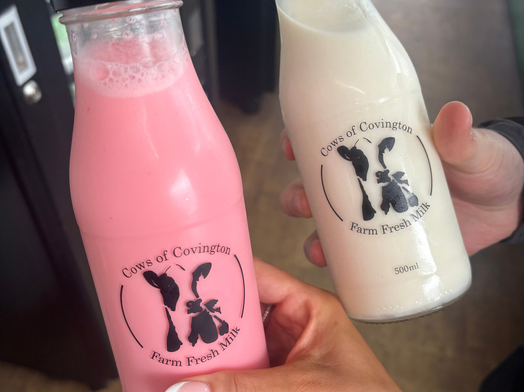 The Milk Hut @ Hillhead Of Covington