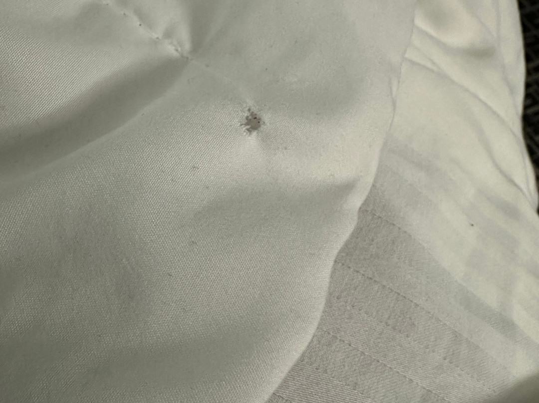 La Quinta Inn By Wyndham West Long Branch主图