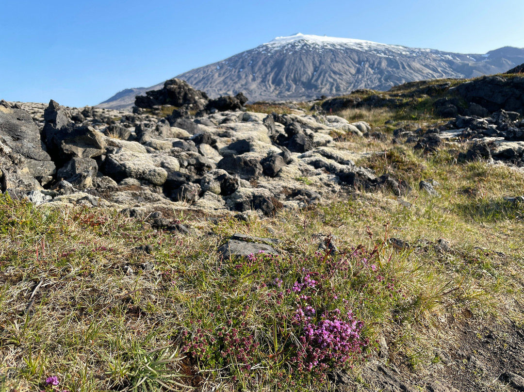 Snaefellsjokull National Park-Hellissandur必去景点