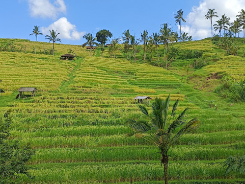 Karuna Kania Bali Tours-库塔必去景点