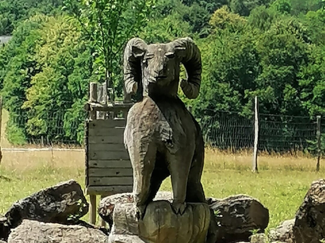 Wildpark Wiehl-Wiehl必去景点