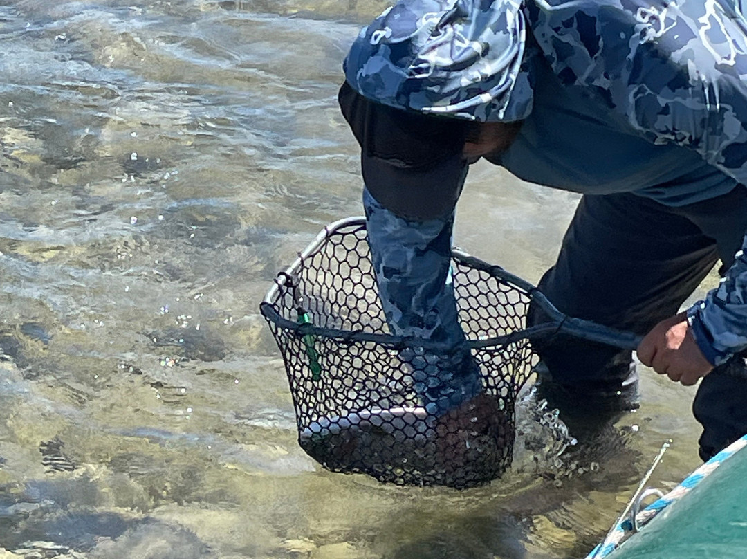 Glacier Raft Company-西格拉西尔必去景点