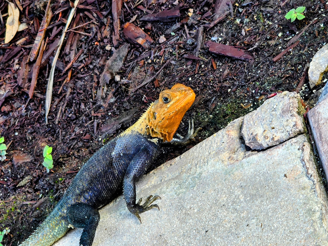 Loews Coral Gables Hotel主图