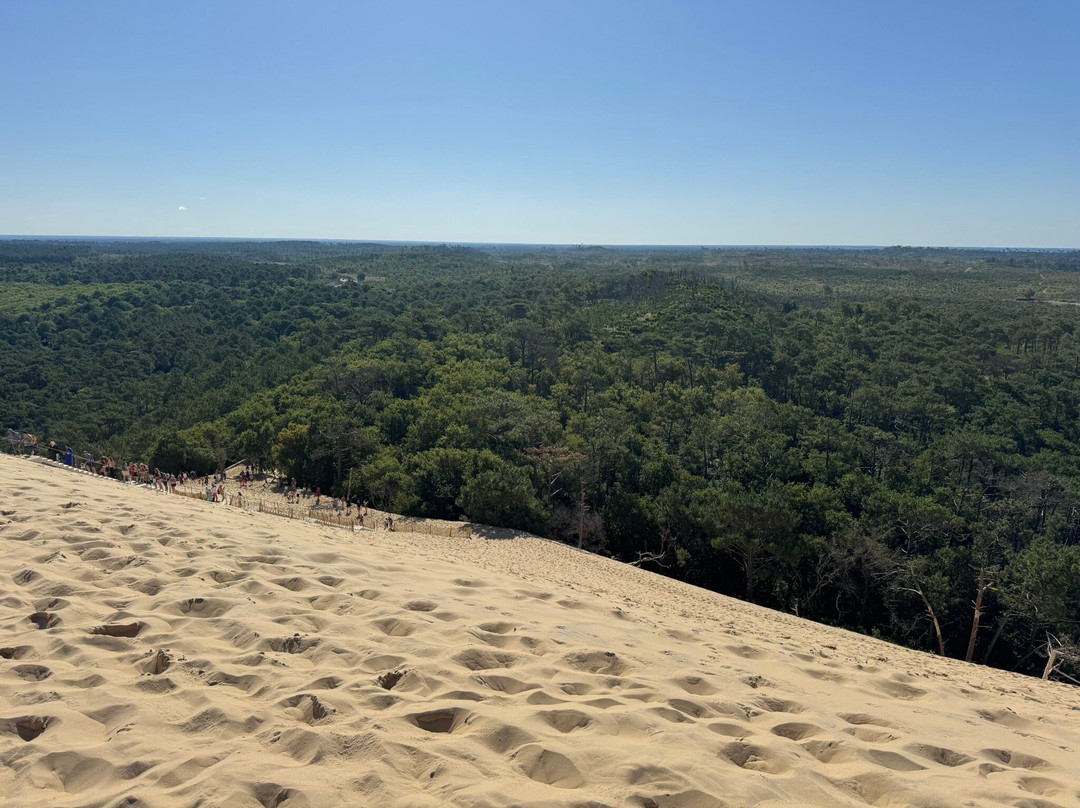 Great Dune of Pilat-拉泰斯特德比克必去景点