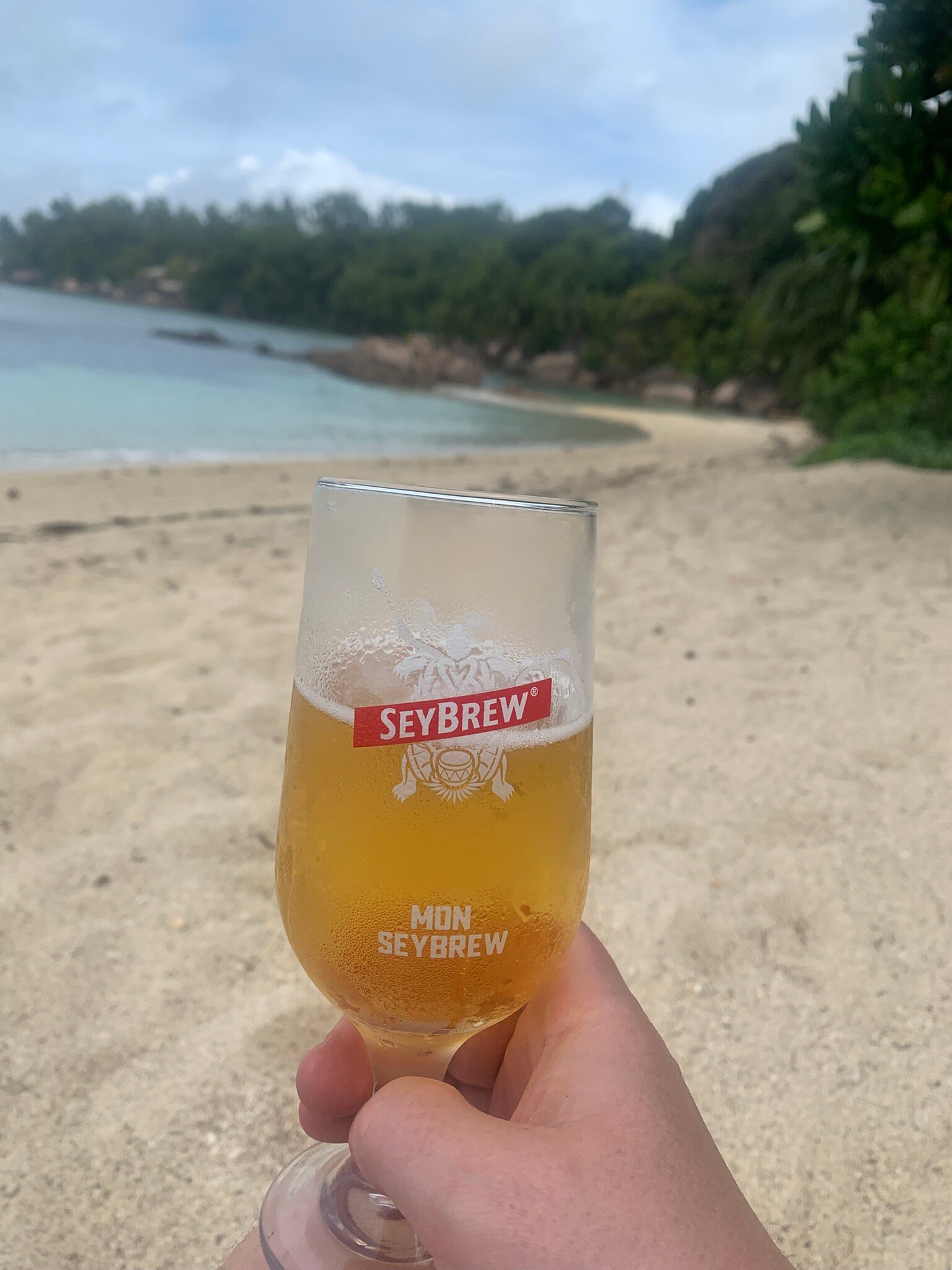 塞舌尔皇冠海滩酒店-官方