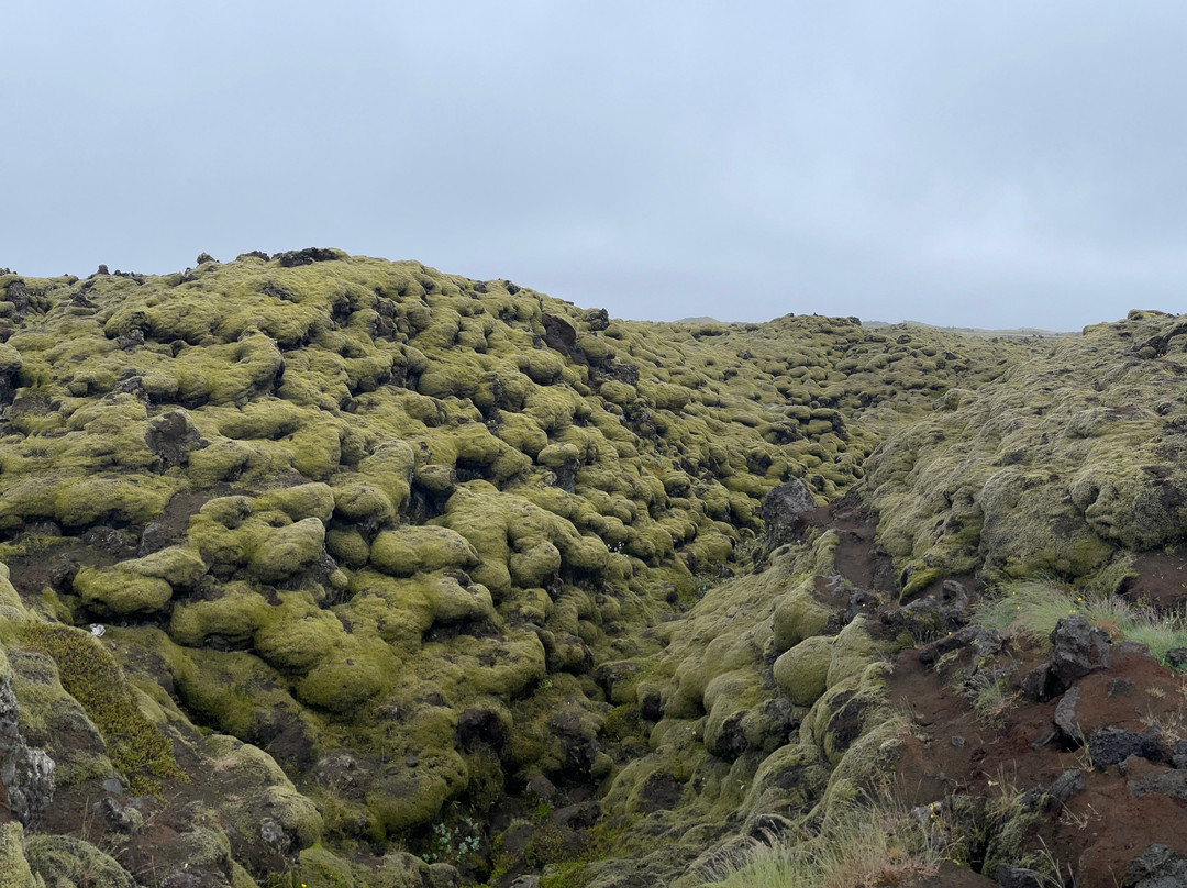 Eldhraun Lava Field-科克拜亚克劳斯特必去景点
