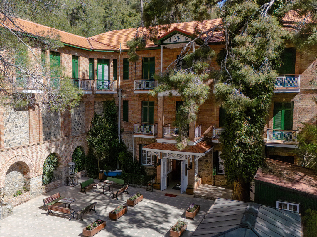 特罗多斯酒店住宿-新赫尔维蒂酒店