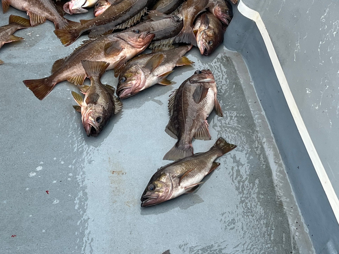 Tornado Fishing Charters-Westport必去景点