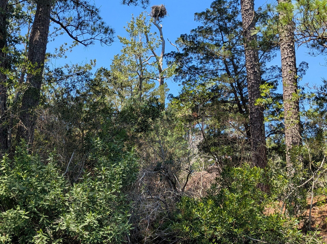 Outer Banks Kayak Adventures-外滩群岛必去景点