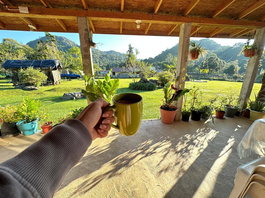 El Cielo International Biosphere Reserve / La Reserva Biosfera El Cielo-Gomez Farias必去景点
