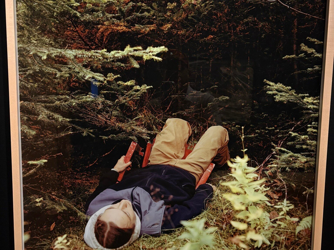 The Rooms-圣约翰必去景点