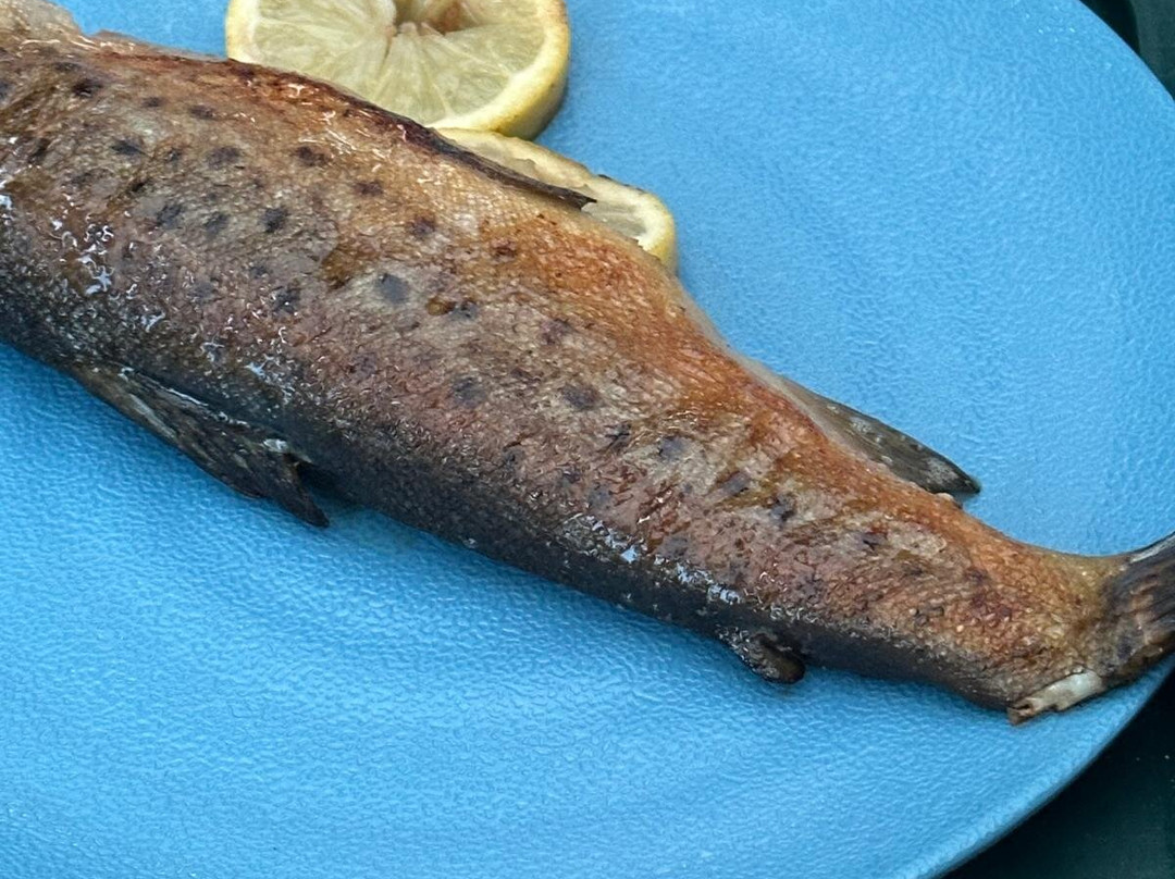 Fish Loch Ness-Dochgarroch必去景点