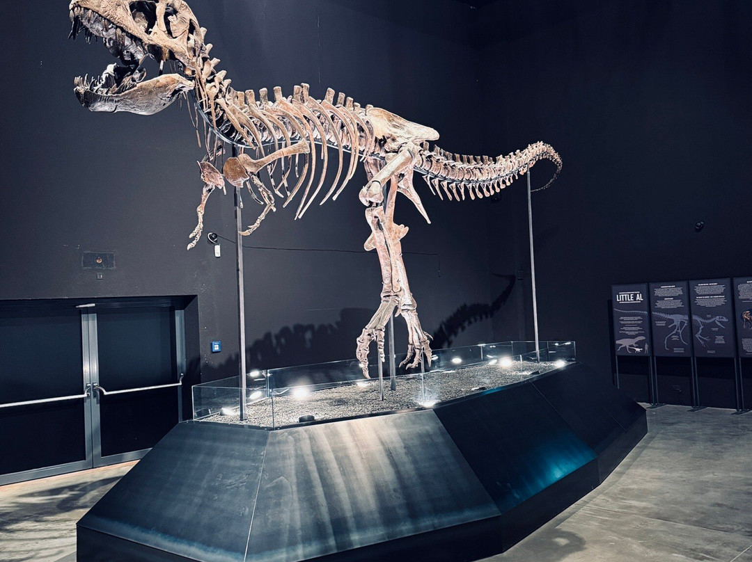 Dinosaurier Museum Altmühltal-Denkendorf必去景点