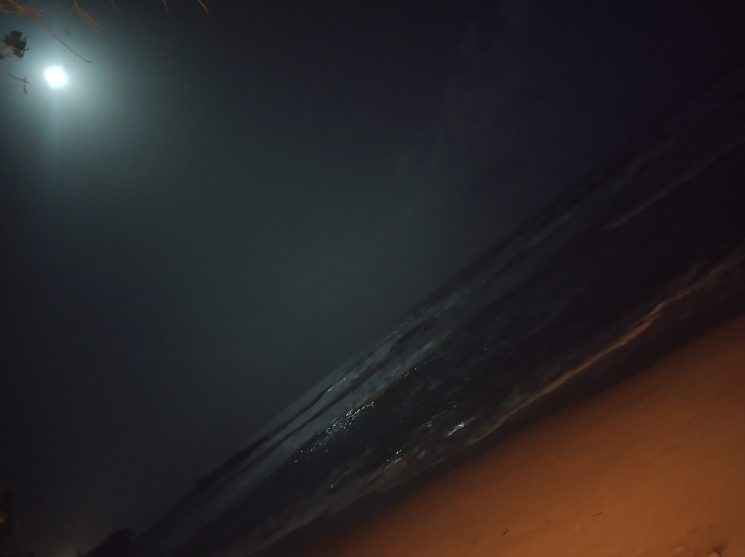 Ocean Gateway Dickwella主图