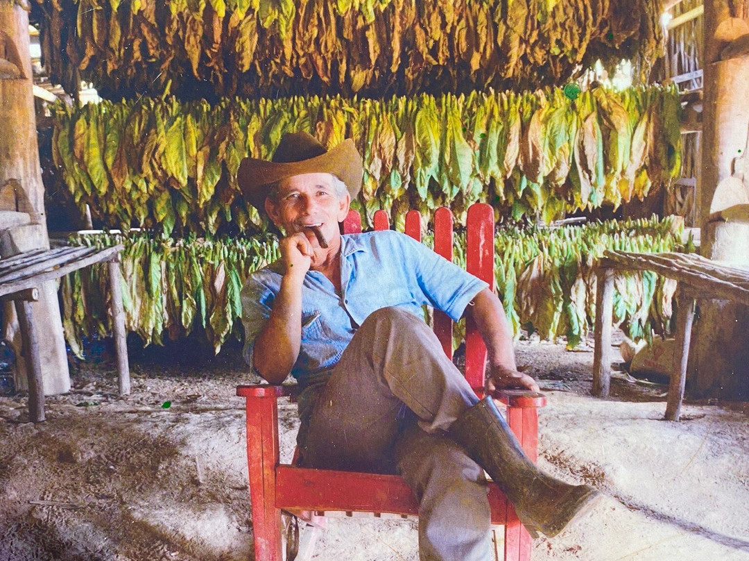 Un Paseo Por El Valle Palmarito-维纳勒斯必去景点