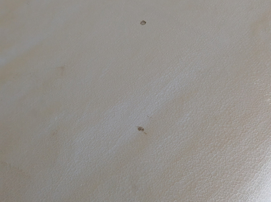 La Quinta Inn by Wyndham El Paso East Lomaland主图