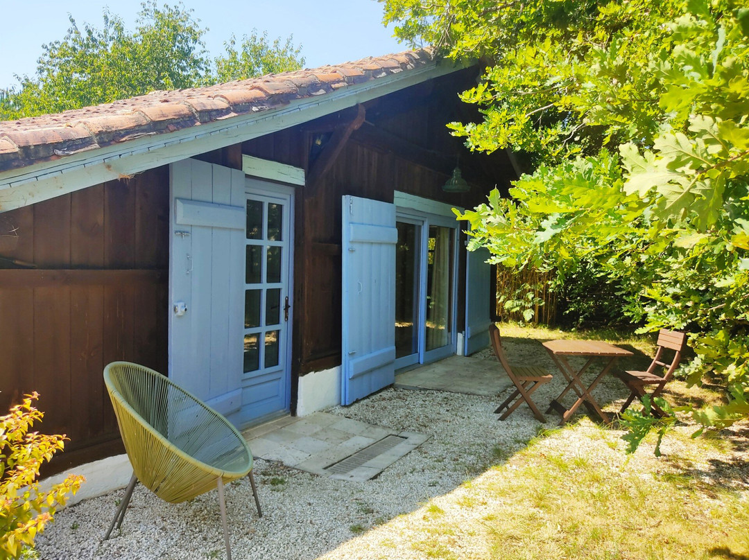 La Bergerie Saint Michel主图