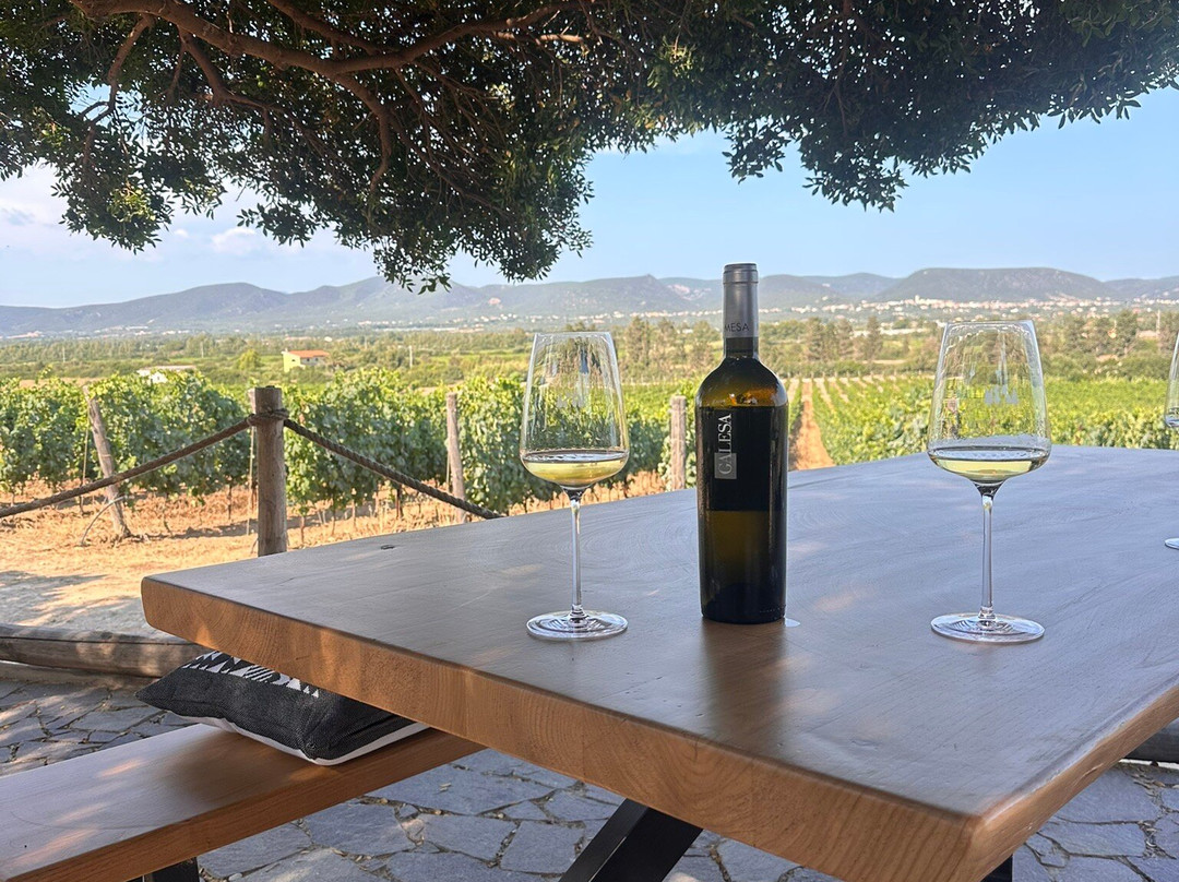 Cantina Mesa-Sant'Anna Arresi必去景点