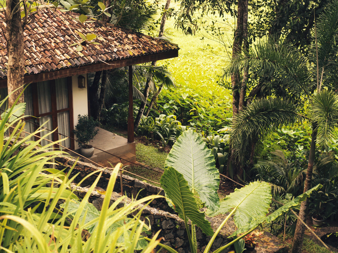 The Jungle Loft Galle主图