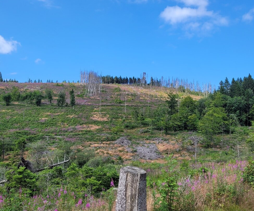 Liebesbank Trail-Hahnenklee-Bockswiese必去景点
