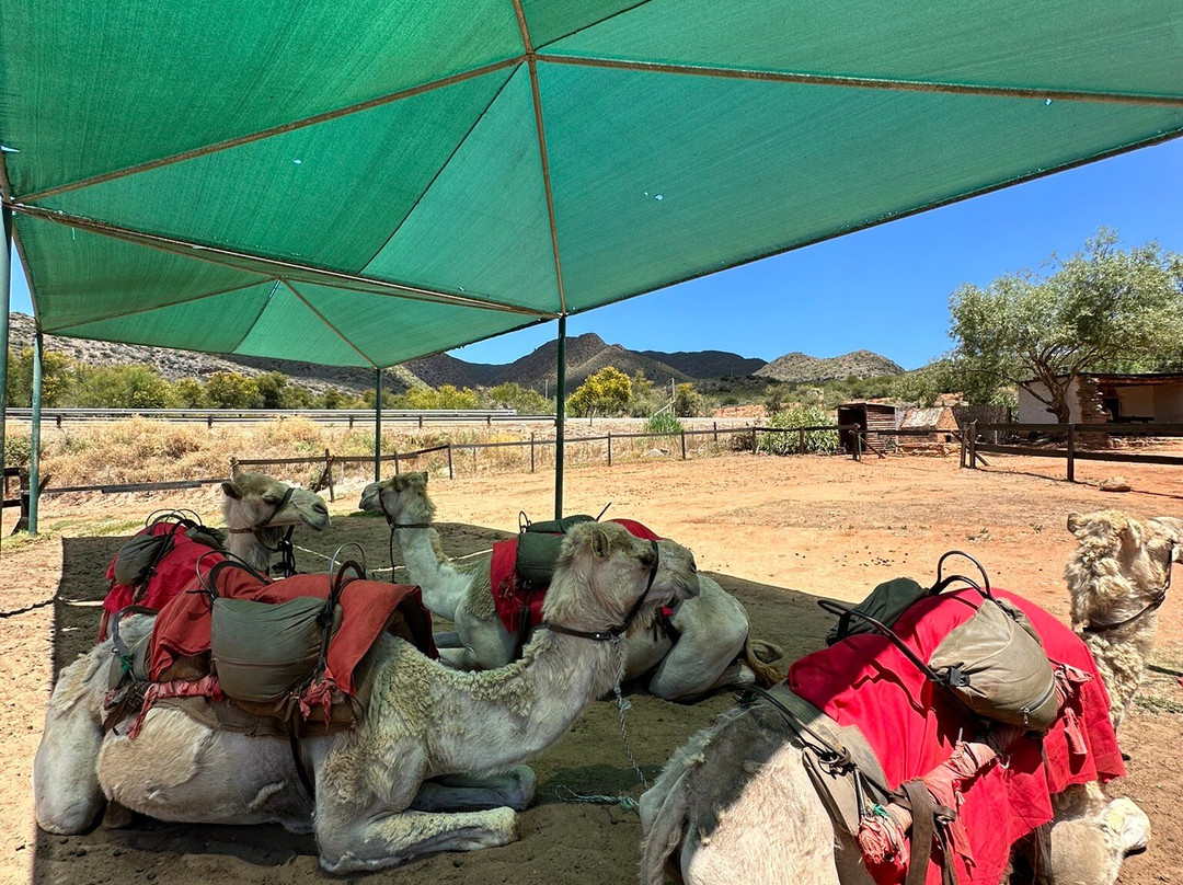 Wilgewandel Holiday Farm-奥兹洪必去景点