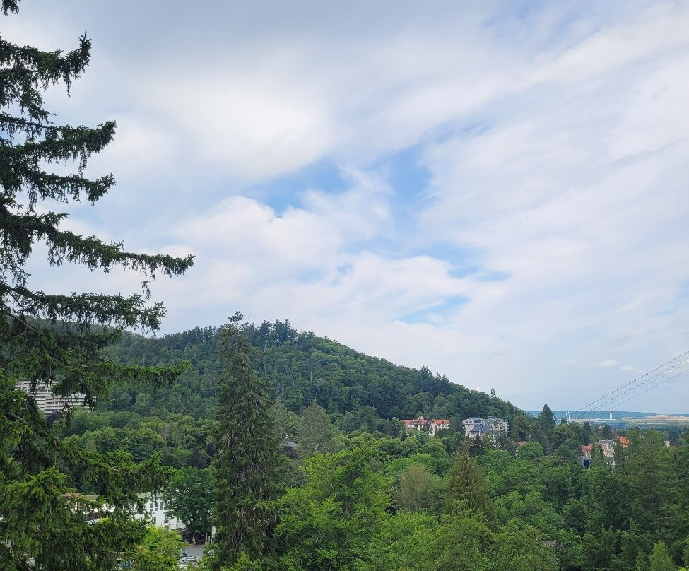Baumwipfelpfad Bad Harzburg-巴特哈尔茨堡必去景点