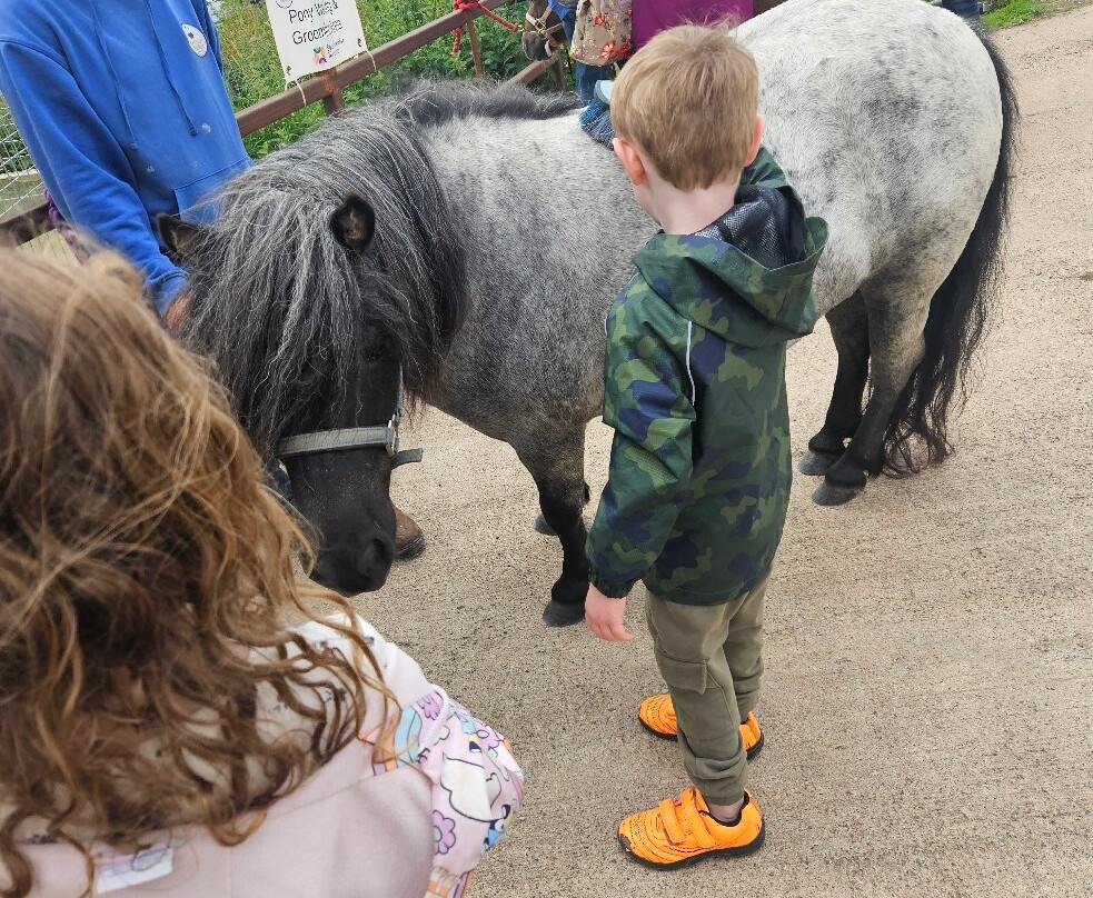 Fermanagh Fun Farm-Lisbellaw必去景点
