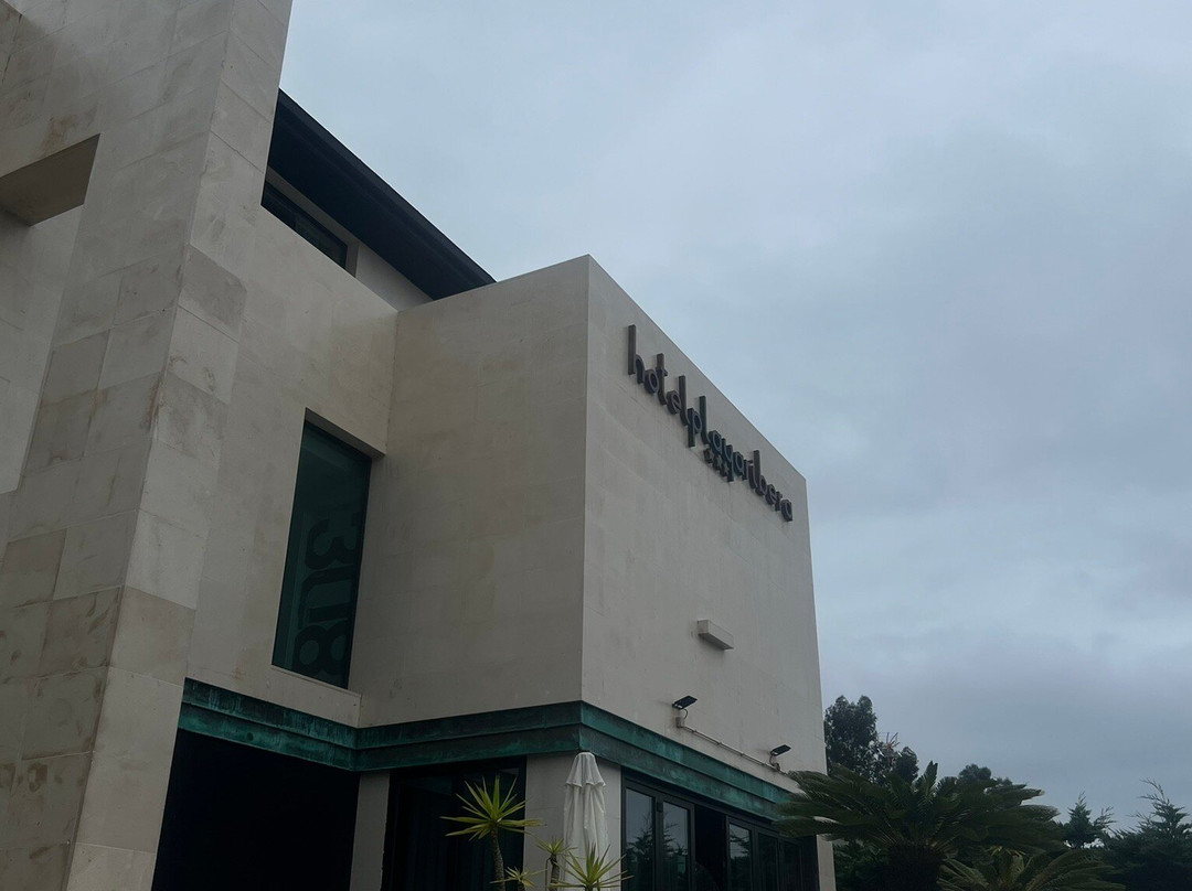 Hotel Playa Ribera主图