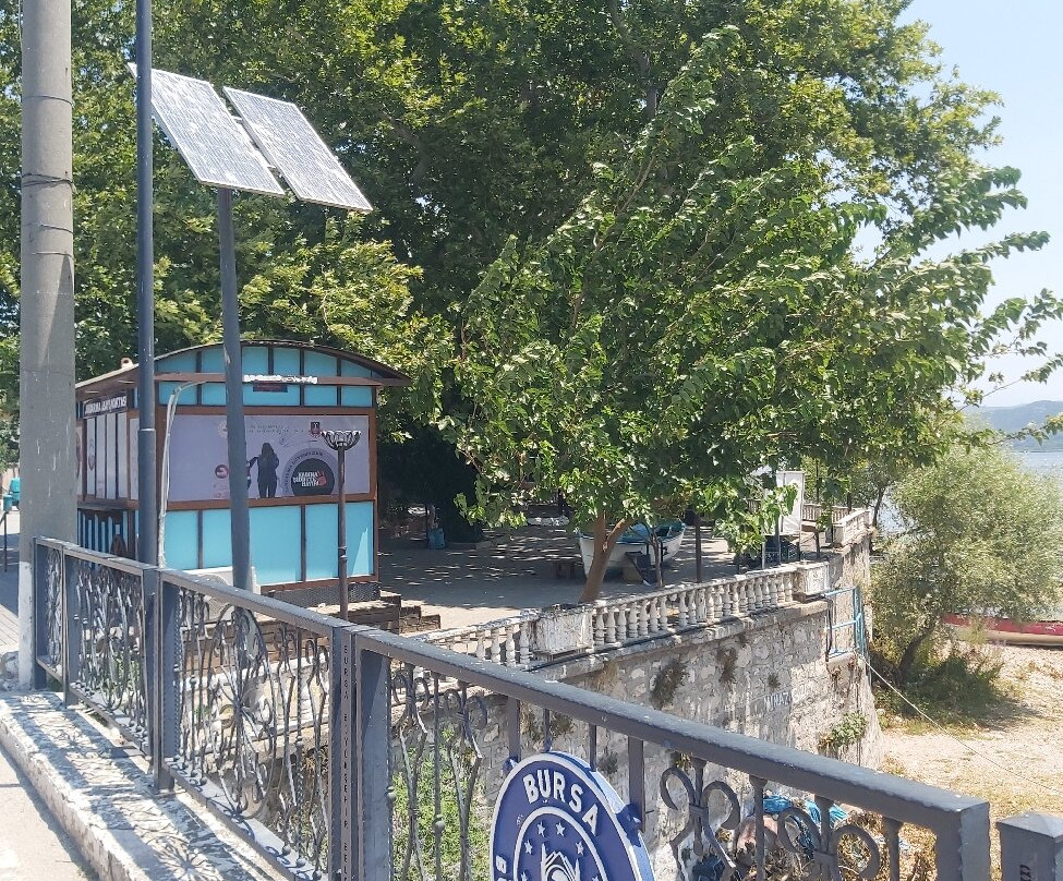 Golyazi-Nilufer Koyu必去景点