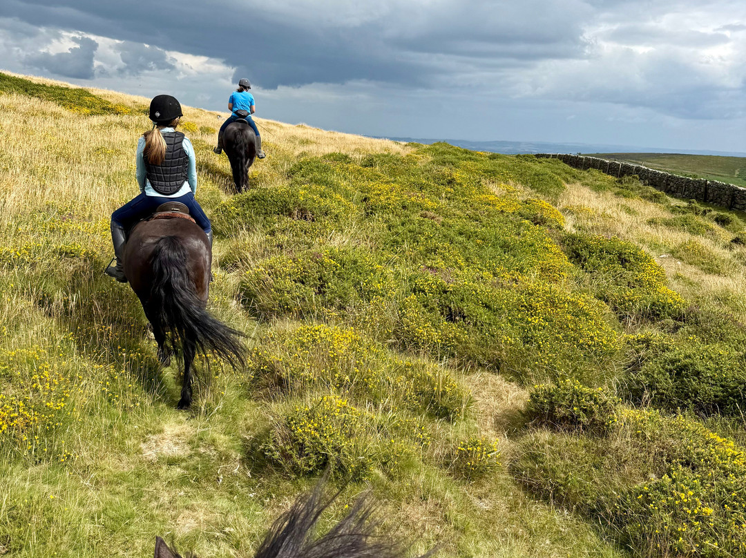 Shilstone Rocks-Widecombe in the Moor必去景点