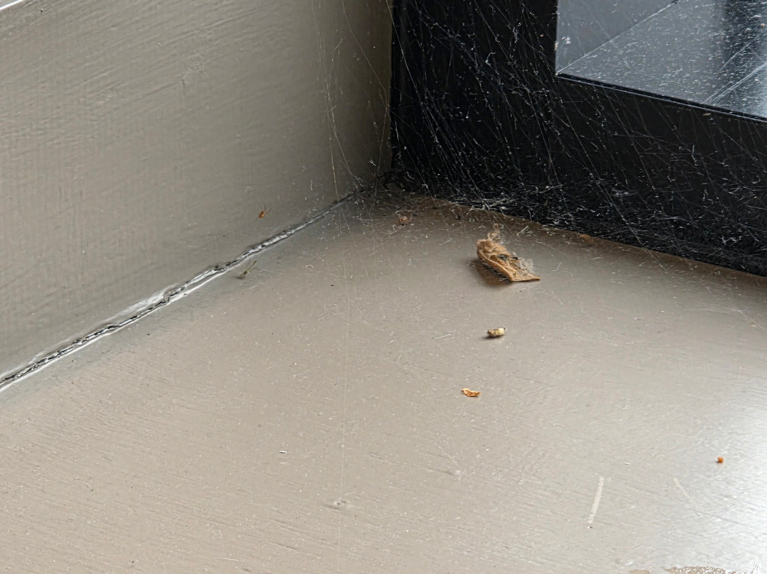 Comis Hotel &  Golf Resort主图