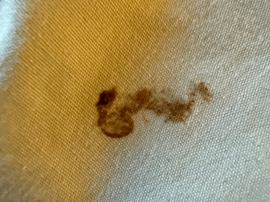 德纳利布拉夫斯酒店主图