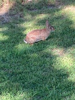 Mount Magazine State Park-Paris必去景点
