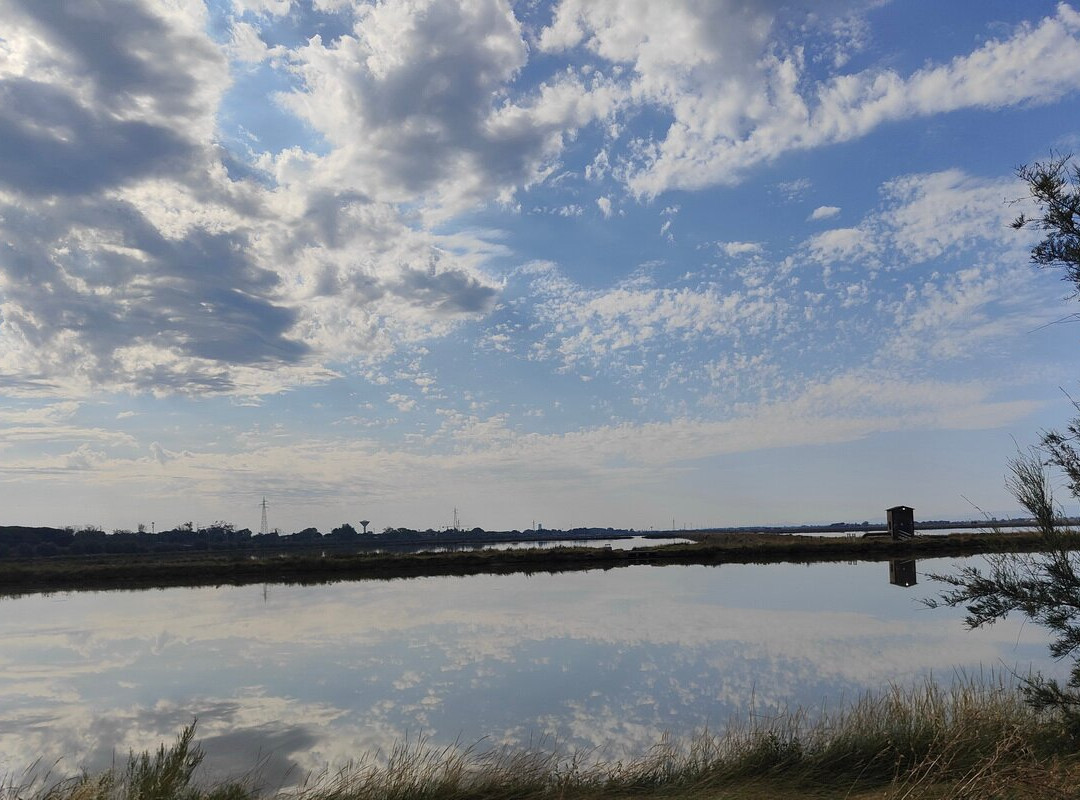 Salina di Cervia-切尔维亚必去景点
