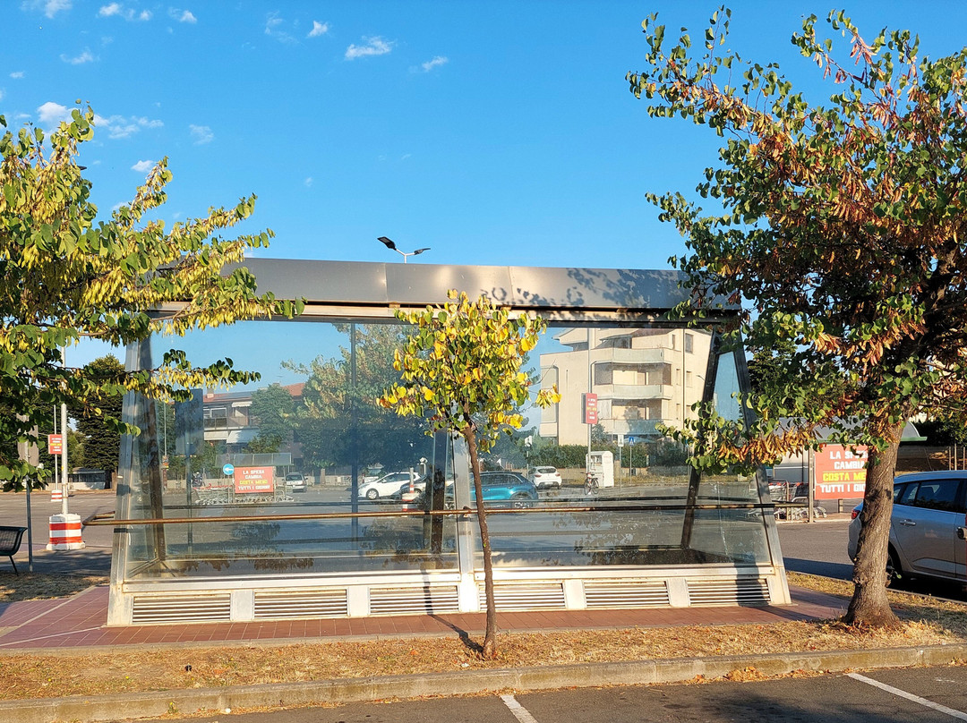 Archeological Area of Melting Furnace at Rondelli-福洛尼卡必去景点