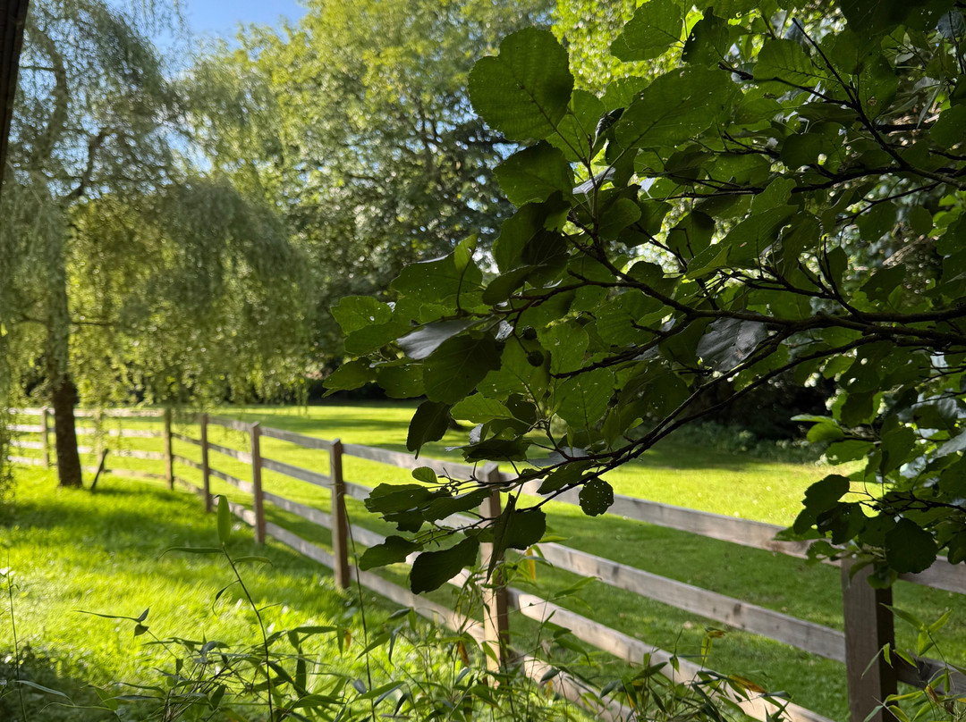 Turtley Corn Mill主图