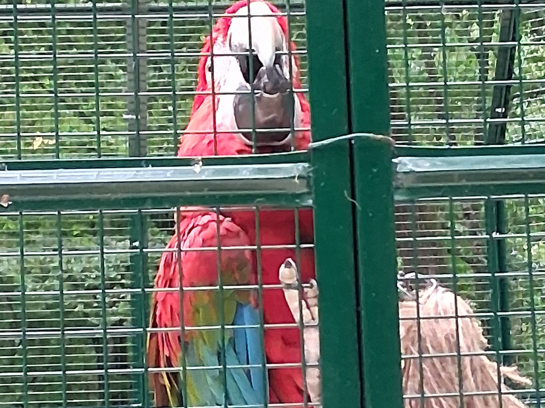 Ferme-Rieumes必去景点