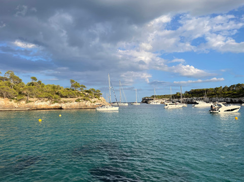 普拉亚蒙卓葛酒店(Playa Mondrago Hotel Apartments)主图