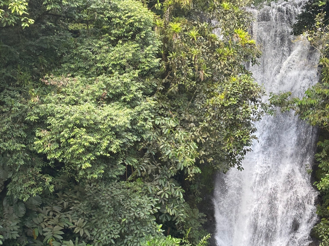 Tony Corona Tours-克波斯必去景点
