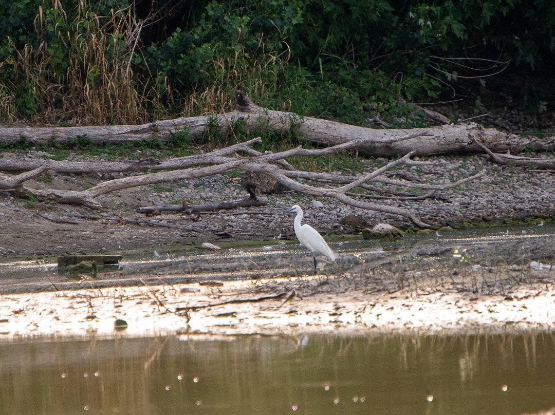 La Boire des Carrés-Saint-Remy-en-Rollat必去景点