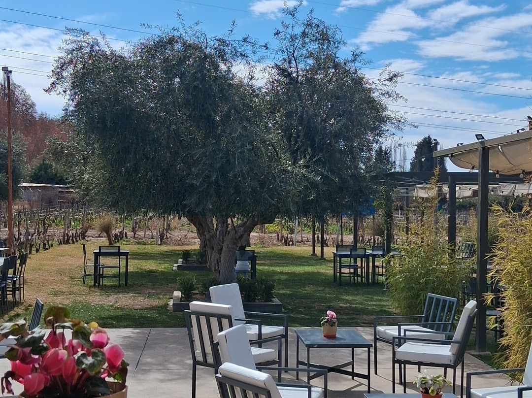 Bodega Roberto Bonfanti-路冉得库约必去景点