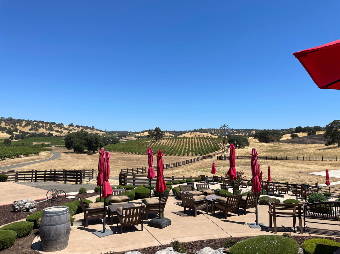Rancho Victoria Vineyard