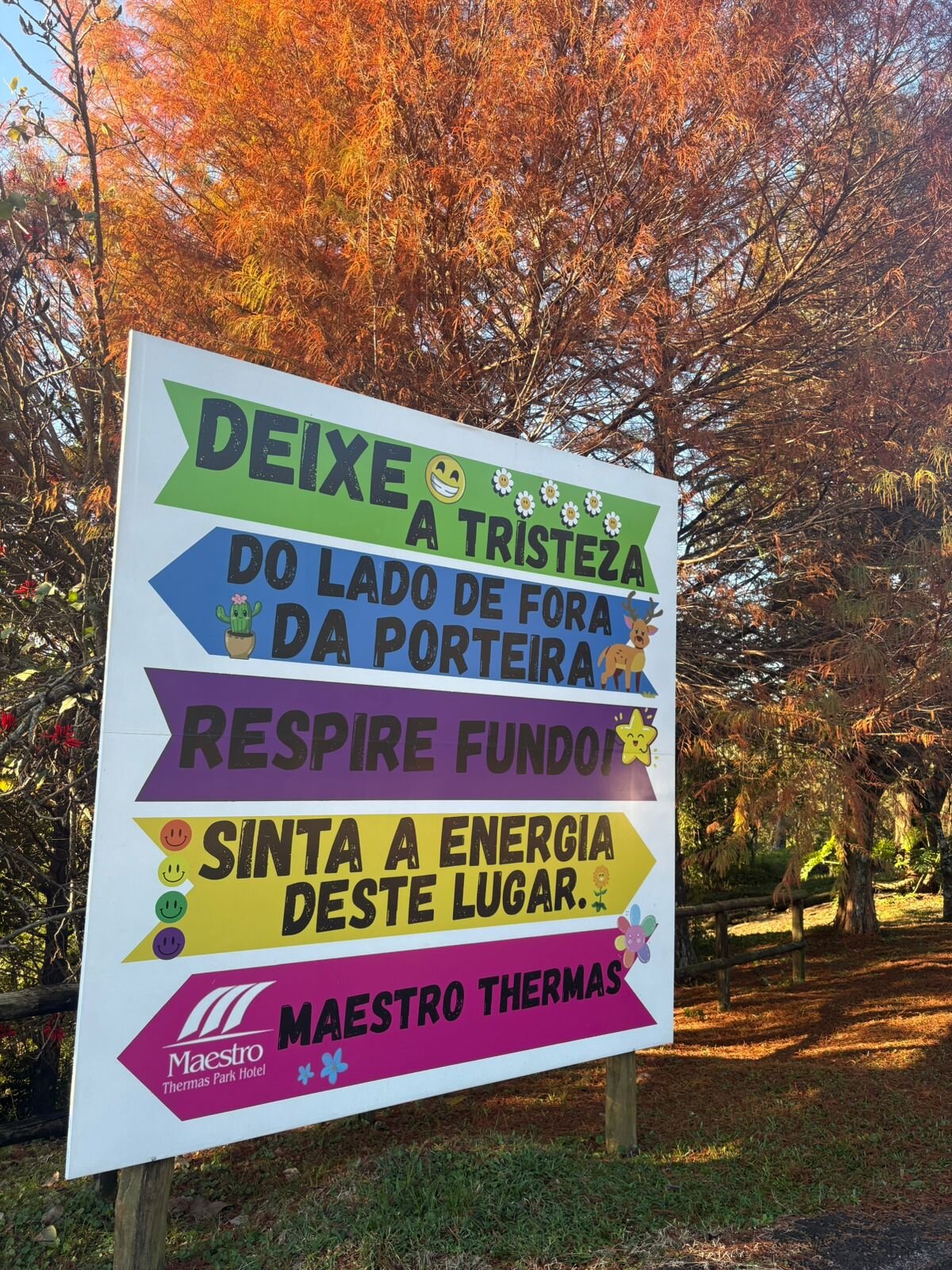 Maestro Termas Park Hotel-浴室